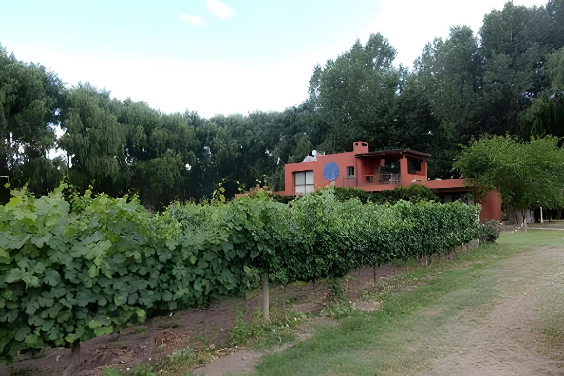 Finca Ogawa Los Sauces  Extérieur photo